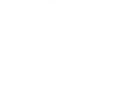 Secret Forest